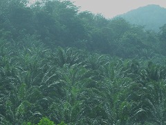 ve[V