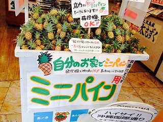 ミニパイン