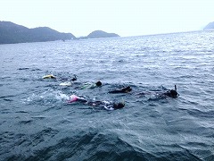シュノーケリング