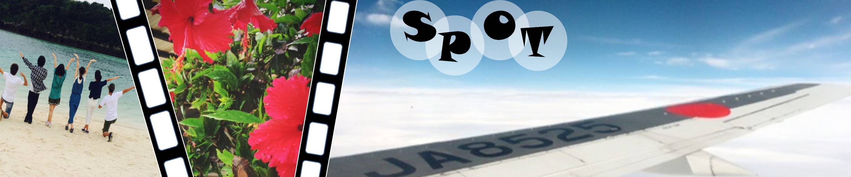 spot