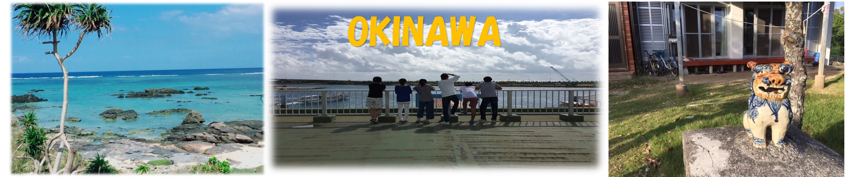 OǏWʐ^