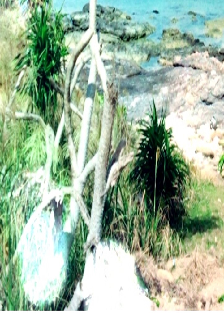 Local