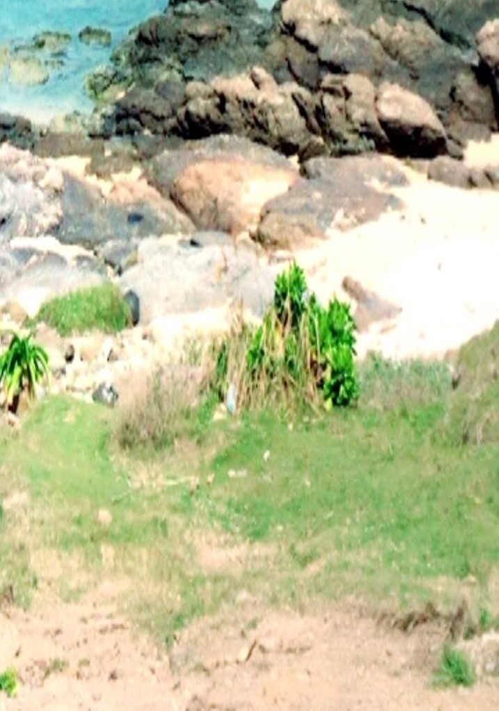 island