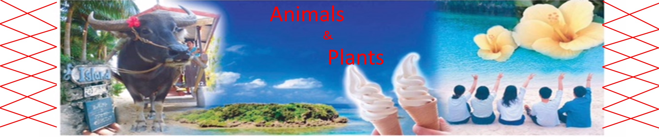 animals and plants