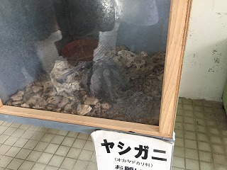 VKj