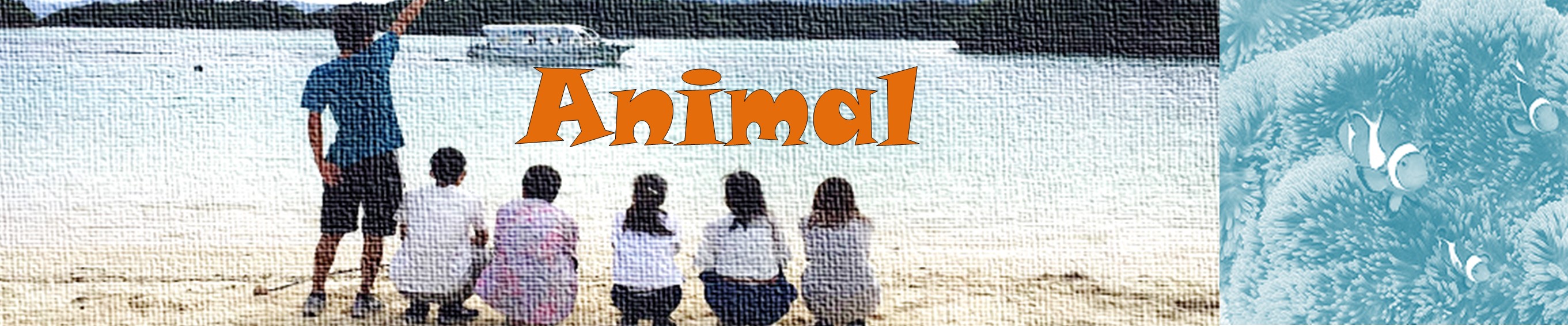 Animal