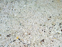 OKINAWA