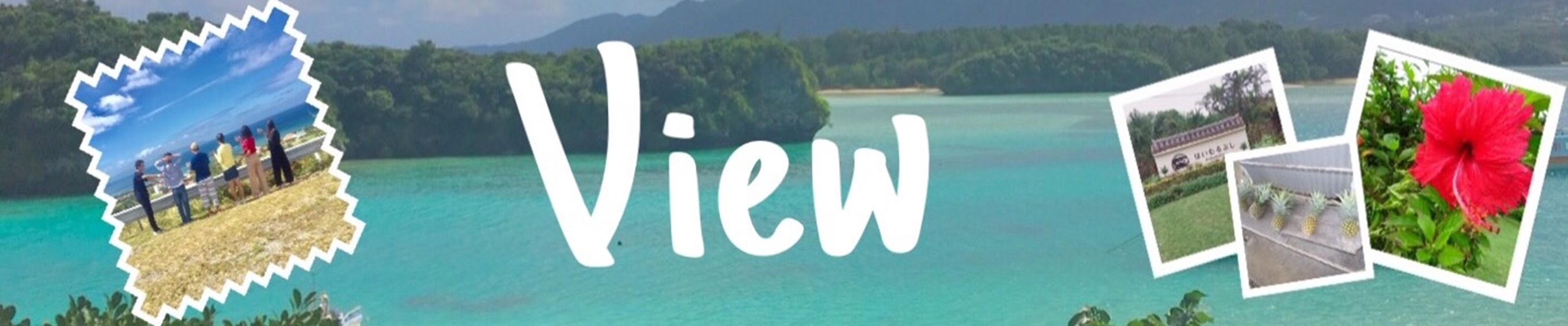 view