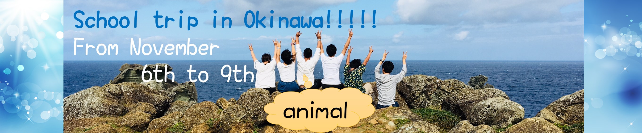 Animal