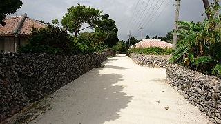 ̏Zn