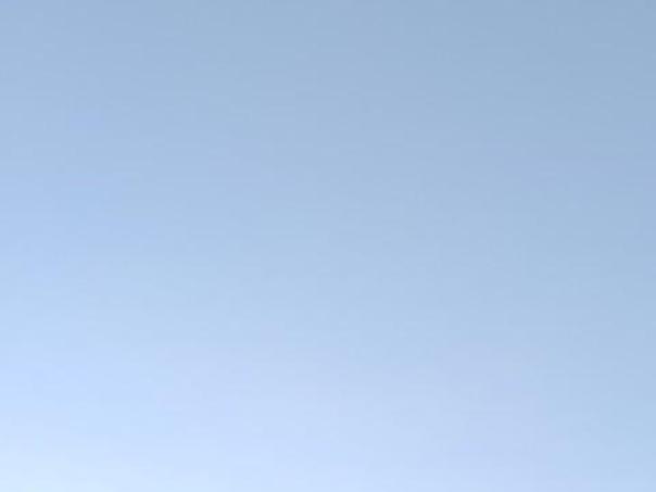 TvP