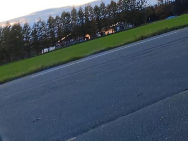 TvP