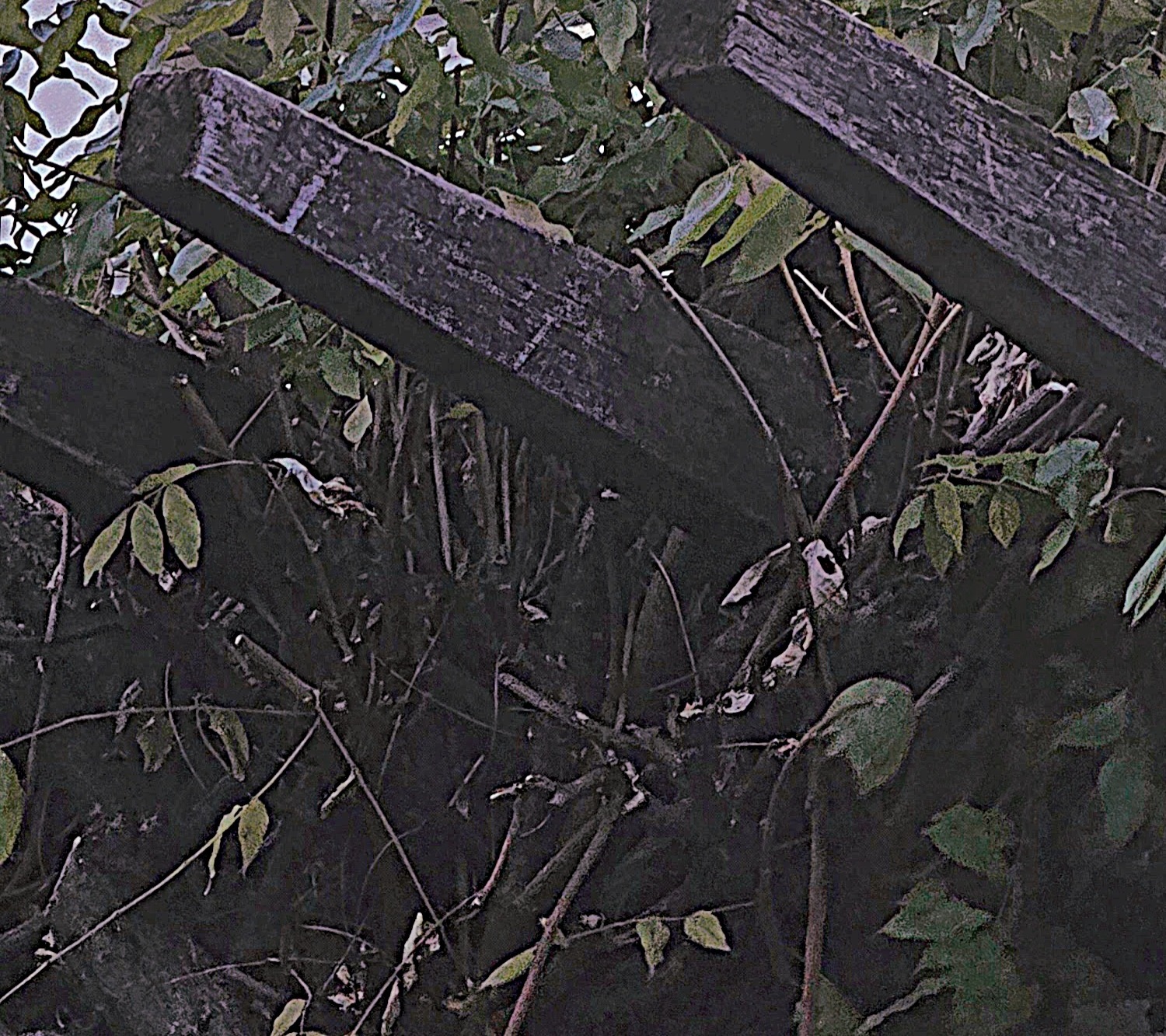 サンプル１