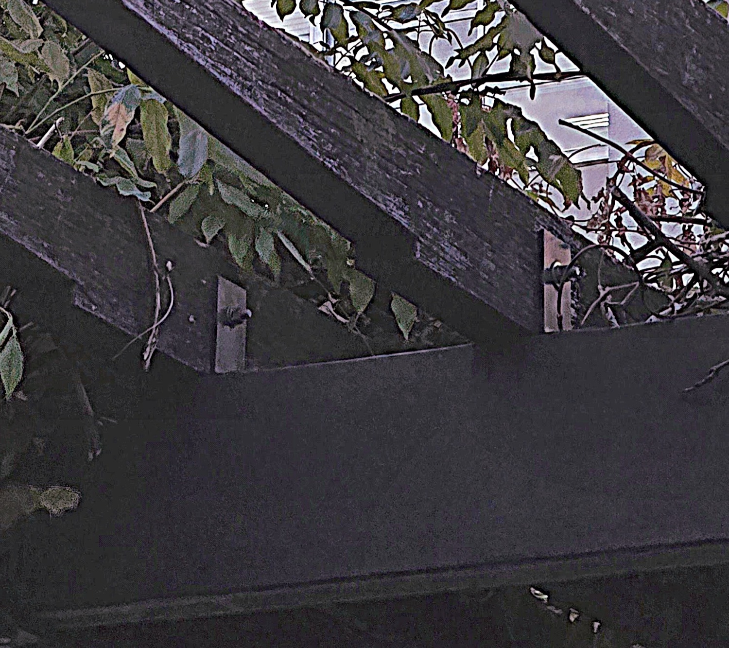 サンプル１