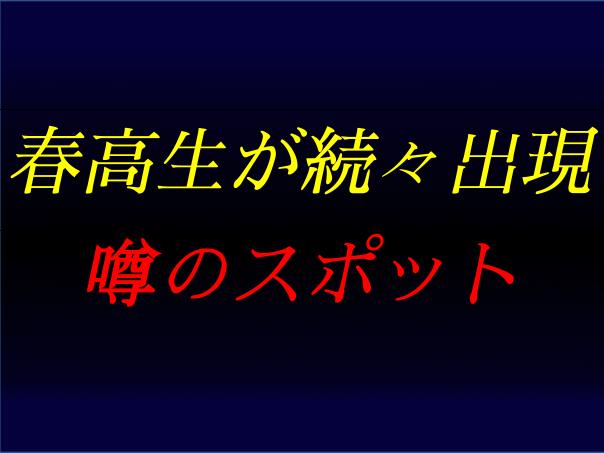 サンプル１