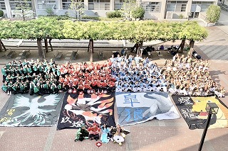 2019Nxc