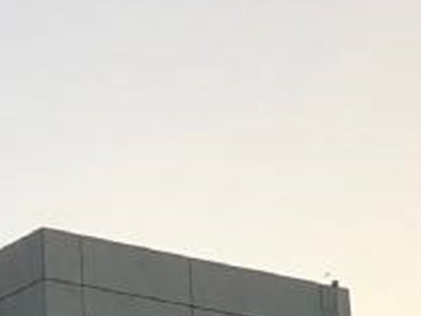 |pI