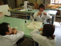 Prd@̌