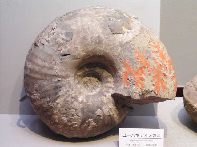 ammon-104.JPG ammon-104.JPG
