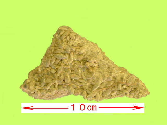 fusln-103a.JPG