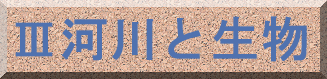 V͐Ɛ