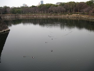 内濠の様子(西)
