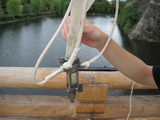 調査の様子