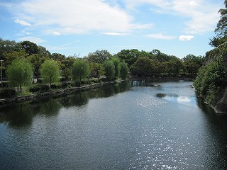 内濠の様子(東)