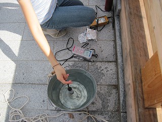調査の様子