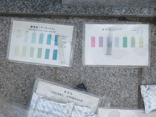 パックテスト