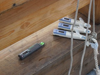 調査の様子(2)