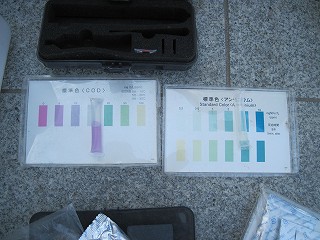 パックテスト