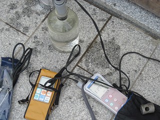 調査の様子