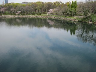 内濠の様子(西)
