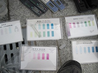 パックテスト
