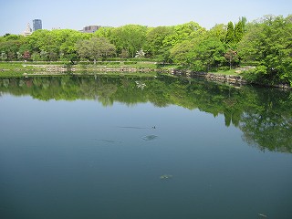 内濠の様子(西)