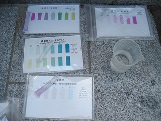 調査の様子
