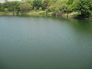 内濠の様子(西)