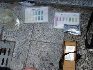 調査の様子