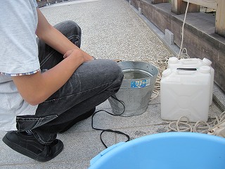 調査の様子