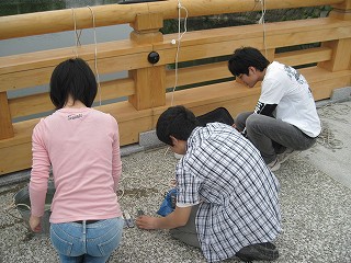 調査の様子