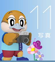 11 写真