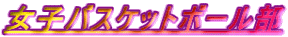 ���q�o�X�P�b�g�{�[����