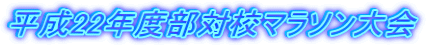 ����22�N�x���΍Z�}���\�����