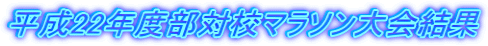 ����22�N�x���΍Z�}���\������