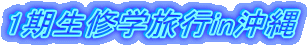 1�����C�w���sin���� 