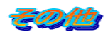 ���̑�