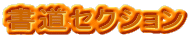 �����Z�N�V���� 