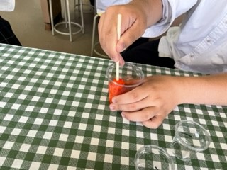 自己探究1