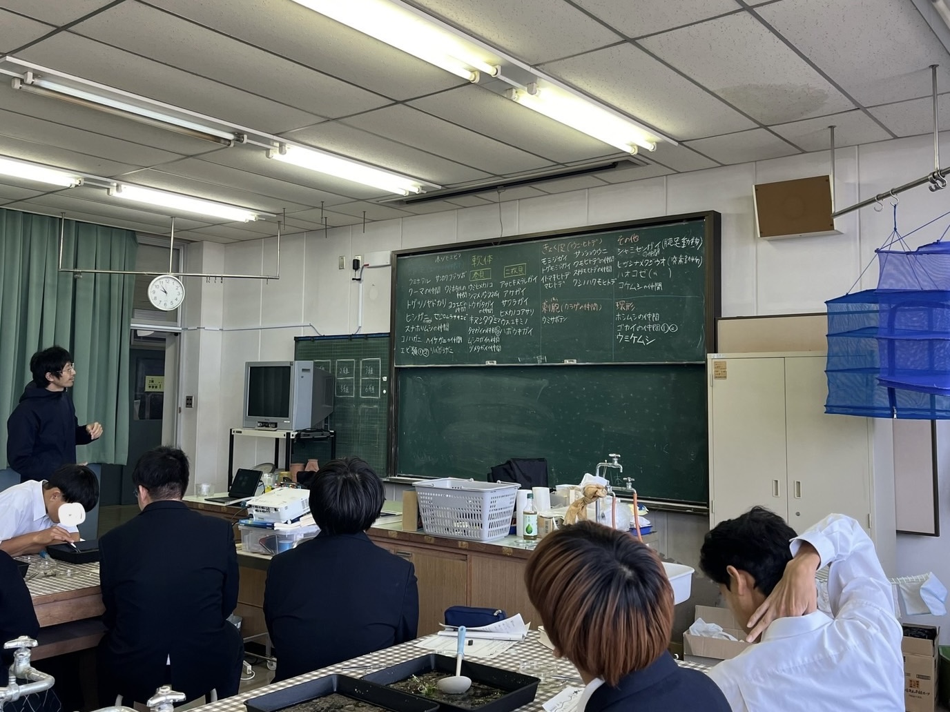 きしわだ自然資料館5